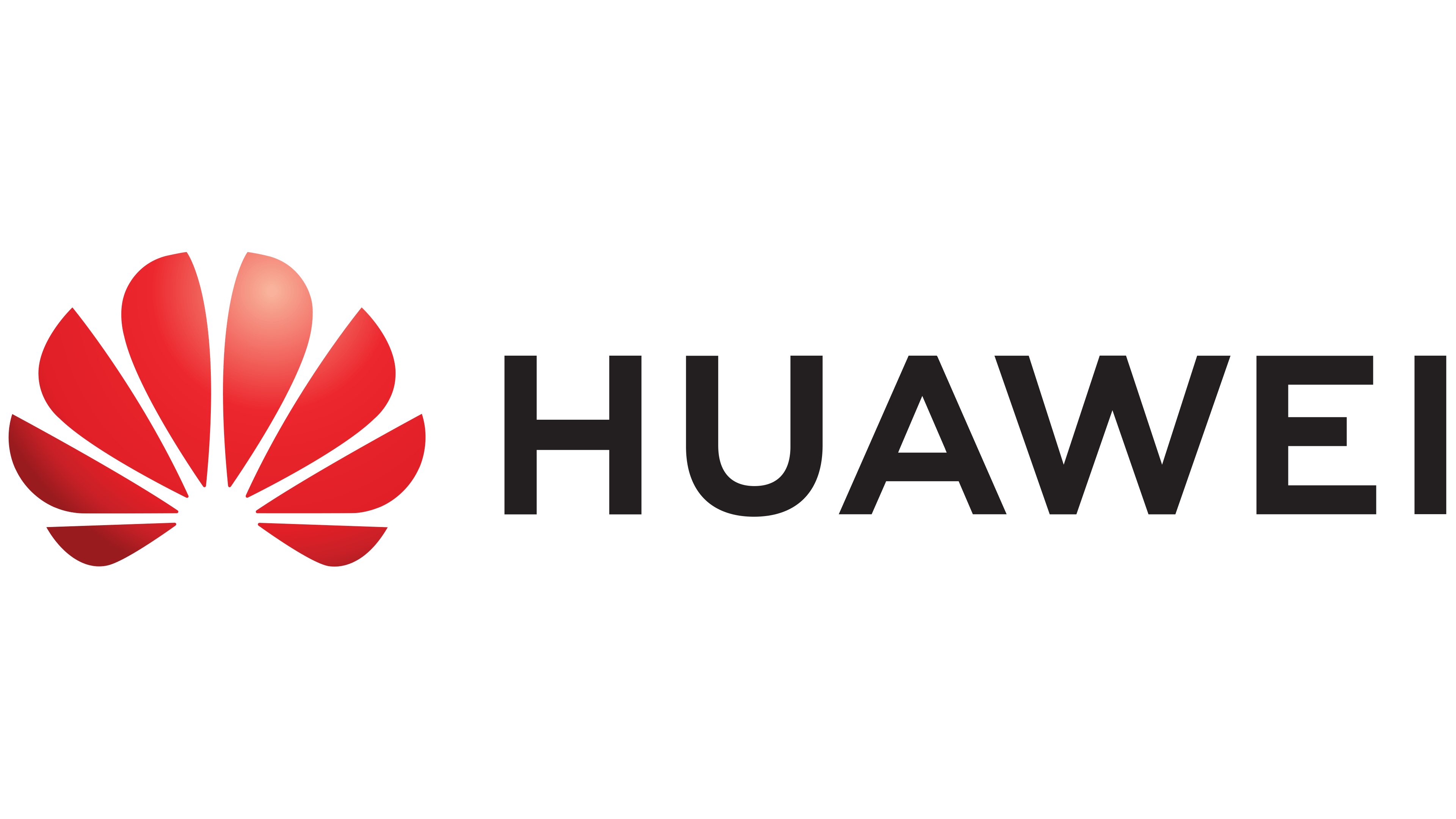 Huawei Earphones 1