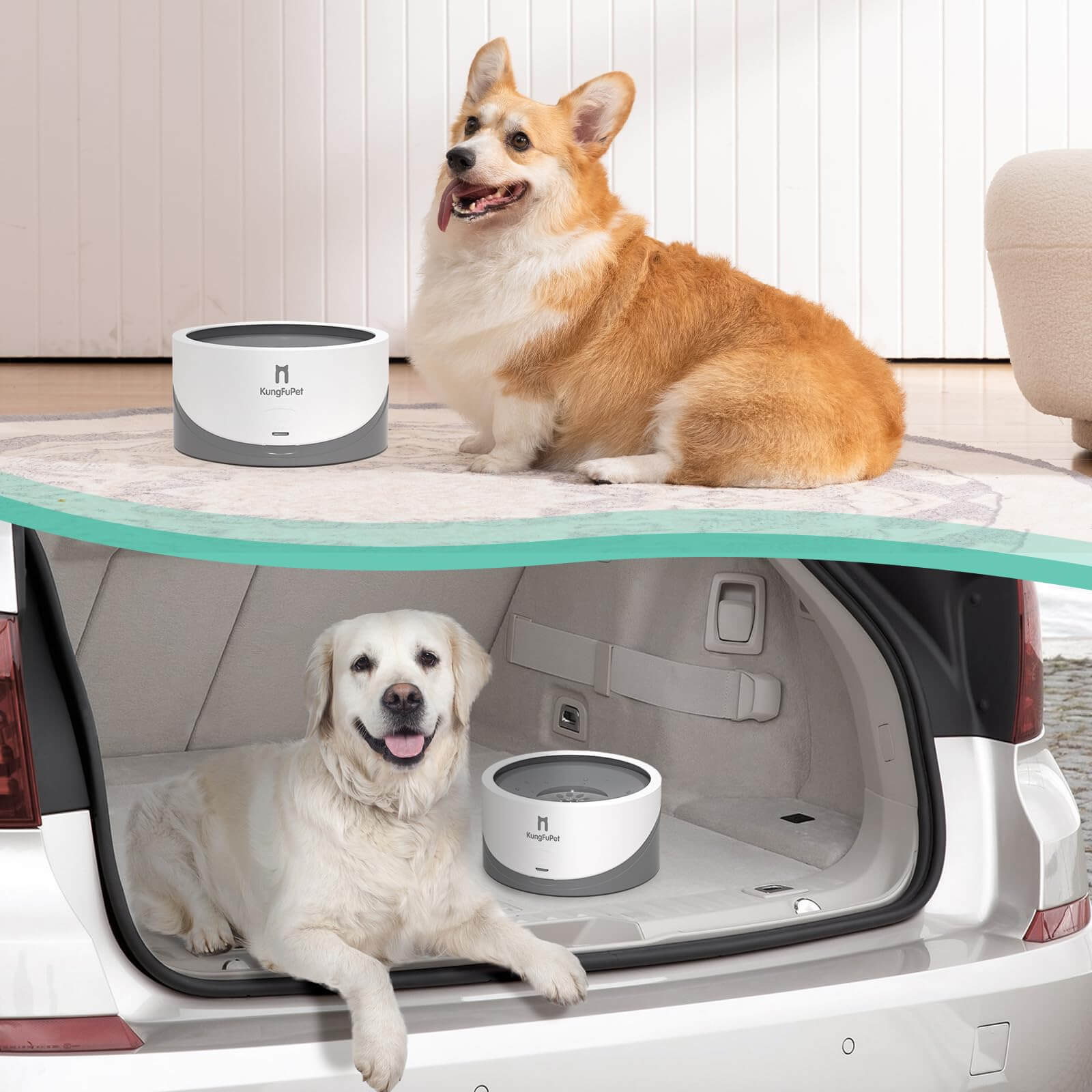 Slow water feeder for dogs