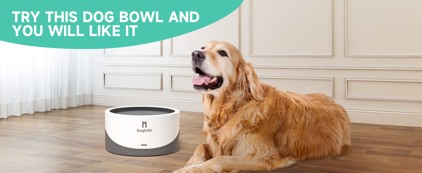 id-2102-slow-water-feeder-for-dogs-5