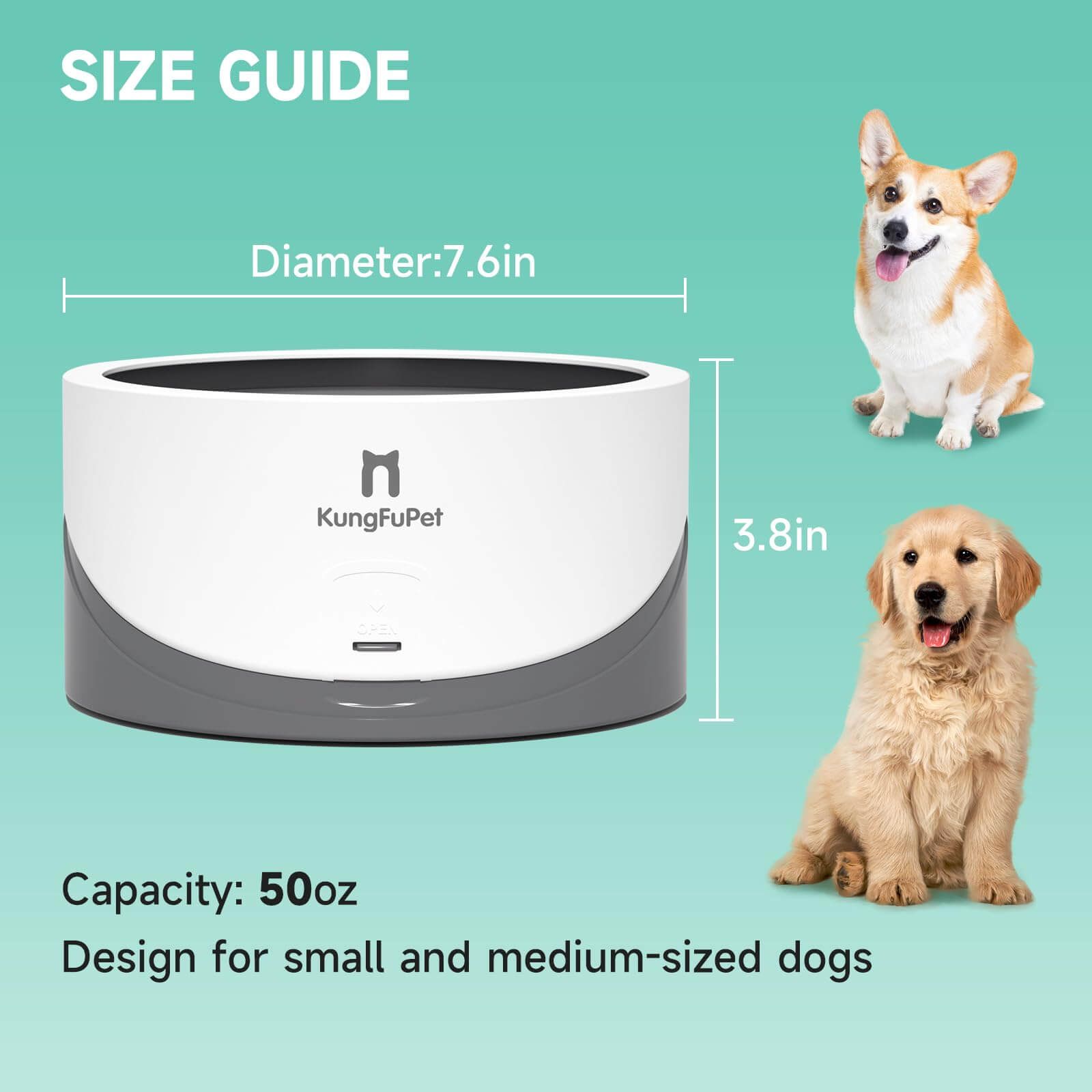 Slow water feeder for dogs