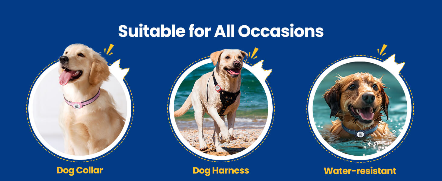 id-2084-bluetooth-tracker-for-dogs-3