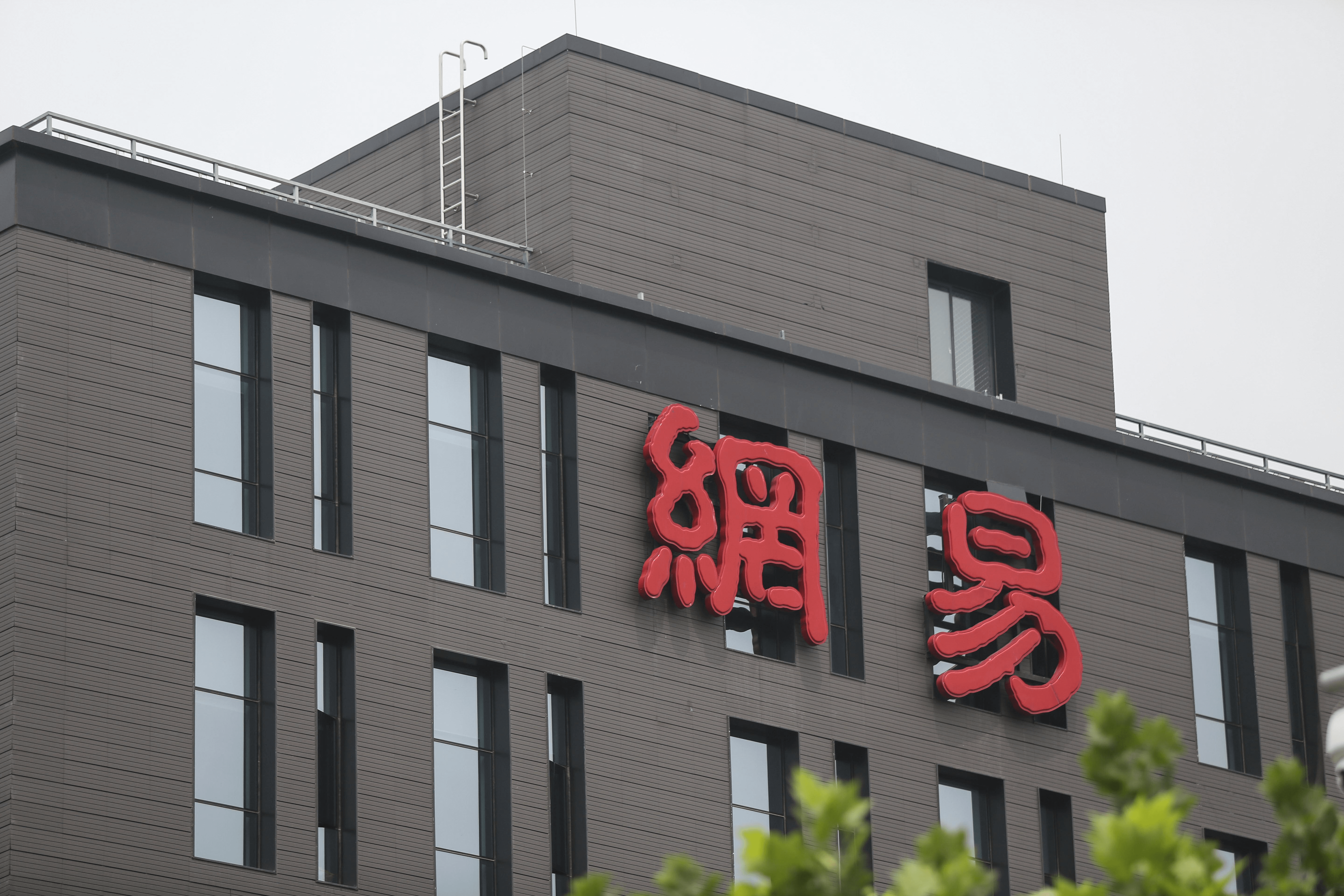 Smart Dog Feeder NetEase