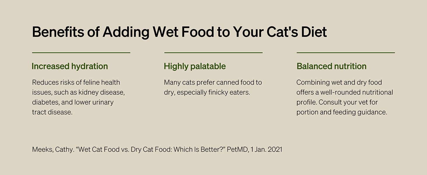 id-2045-cat-feeder-for-wet-food-10